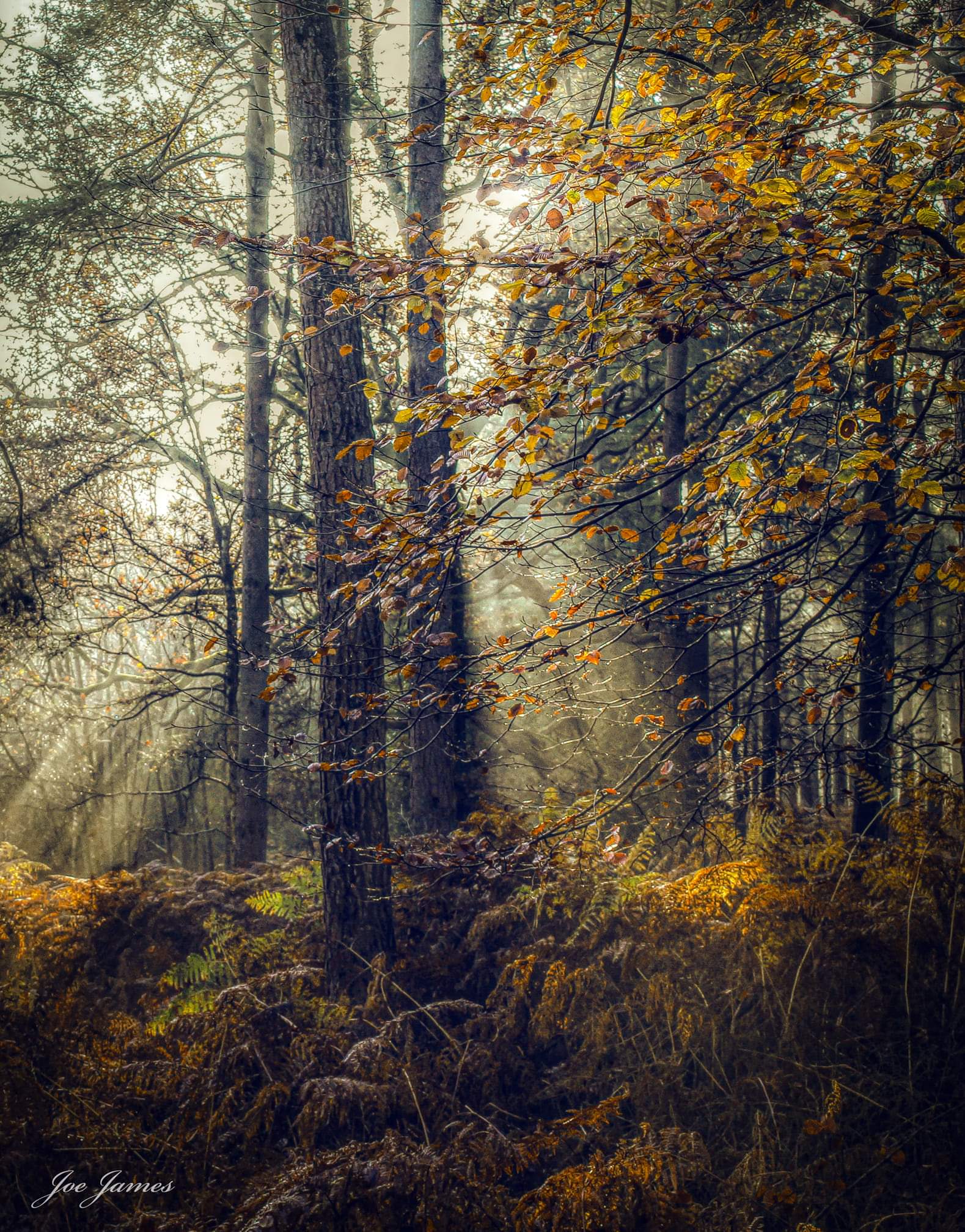On The Turning Away