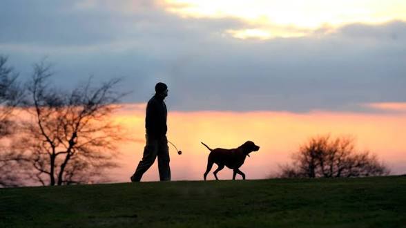 Walking with the Black Dog